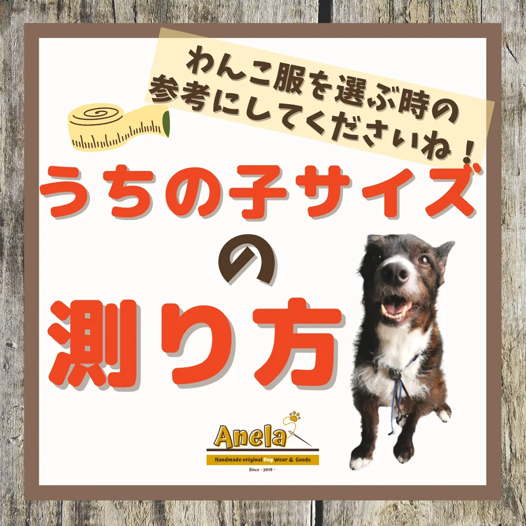 うちの子サイズの測り方!