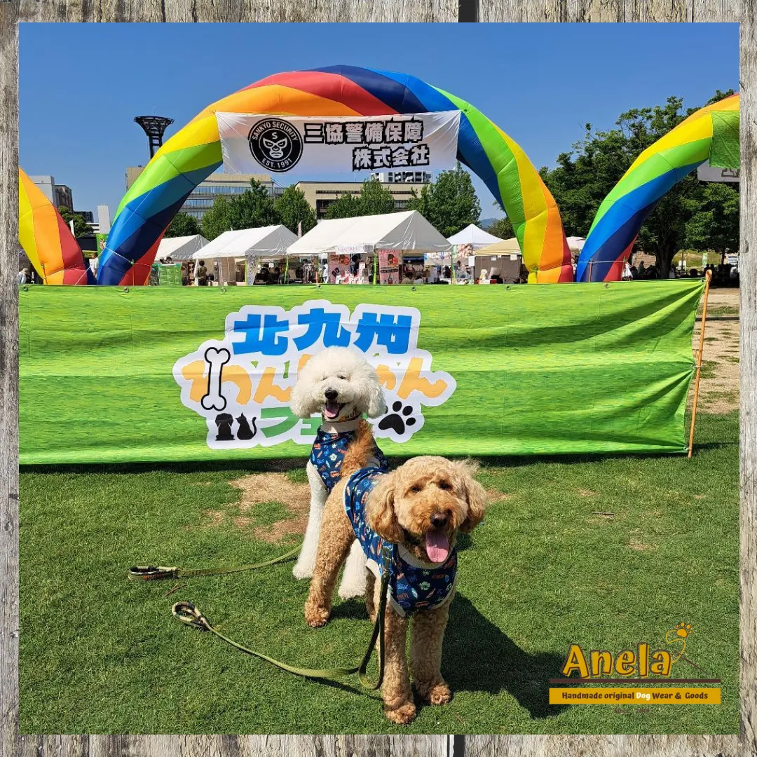素敵なお写真のご紹介☆